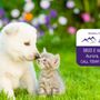 Photo of Animal Care Center of Aurora