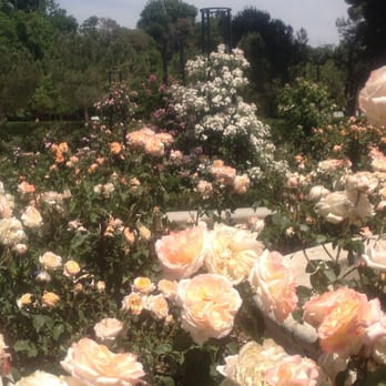 Estanque Grande del Buen Retiro - Just part of a great rose garden - Parks Near Me - Madrid, M