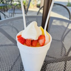 Sno 2 Go - Immune boost special