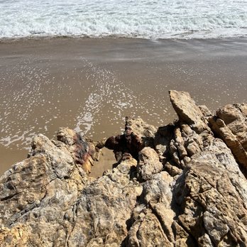 Crystal Cove State Park - Rocks on beach - Parks Near Me - Laguna Beach, California