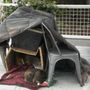 Santa Barbara County Animal Shelter