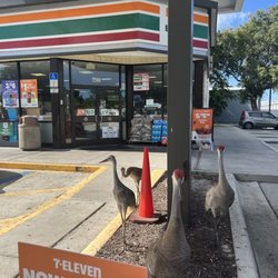 7-Eleven
