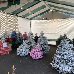 Pinery Christmas Trees
