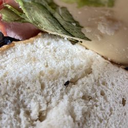 Publix Super Markets - So got a sandwich from Publix Chasewood -Publix Indiantown Rd - opened the sandwich and found a fly... So disgusting...