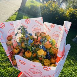 Azucena Bloom’s