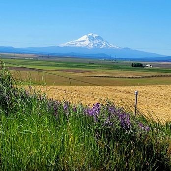 Goldendale Mountain Identifier - Landmarks & Historical Buildings Near Me - Goldendale, Washington Goldendale Mountain Identifier - Landmarks & Historical Buildings Near Me - Goldendale, Washington