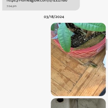 Homeaglow - He didn't clean or pick the dead leaf  no mopping or dusting - Home Cleaning Near Me - Sanford, North Carolina