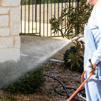 Tech Force Pest Control - Tech Force Pest Control - Pest Control Near Me - Mesquite, Texas Tech Force Pest Control - Tech Force Pest Control - Pest Control Near Me - Mesquite, Texas