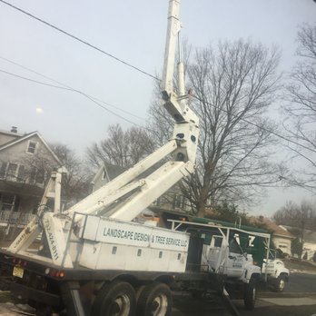 Diaz Landscape Design & Tree Service - Tree Services Near Me - Piscataway, New Jersey Diaz Landscape Design & Tree Service - Tree Services Near Me - Piscataway, New Jersey