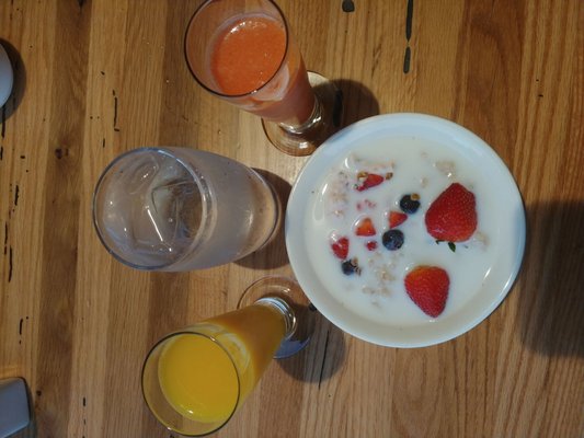 The Fig & The Judge by null