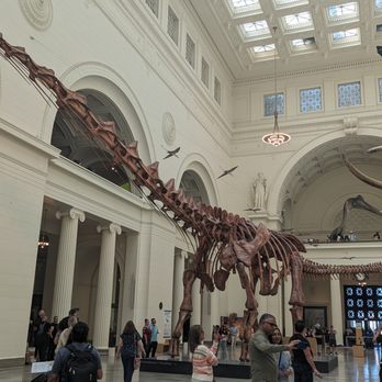 Field Museum - Museums Near Me - Chicago, Illinois