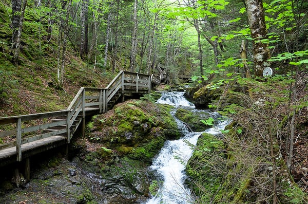 Fundy National Park Of Canada by null