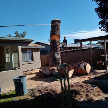 Southwest Landscaping & Trees - a man on a tree stump - Tree Services Near Me Southwest Landscaping & Trees - a man on a tree stump - Tree Services Near Me