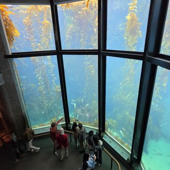 Monterey Bay Aquarium - Aquariums Near Me - Monterey, California