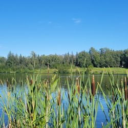 Taku Lake Park