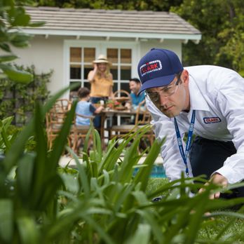 Clark Pest Control - Pest Control Near Me - Lancaster, California Clark Pest Control - Pest Control Near Me - Lancaster, California