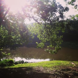 Beautiful out of the way campsite.