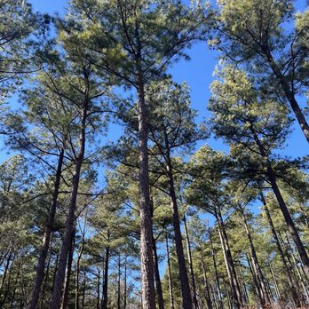 Captain's Hideaway Powersports Rentals - ATV Rentals/Tours Near Me - Broken Bow, Oklahoma