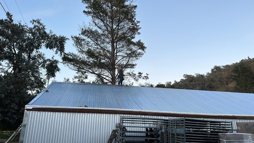 Slide of Cheque Roofing