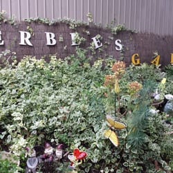 Herbees Cafe - Herbees Cafe Fairy Garden!
