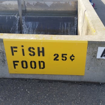 Nimbus Fish Hatchery - Signs updated - Aquariums Near Me - Gold River, California