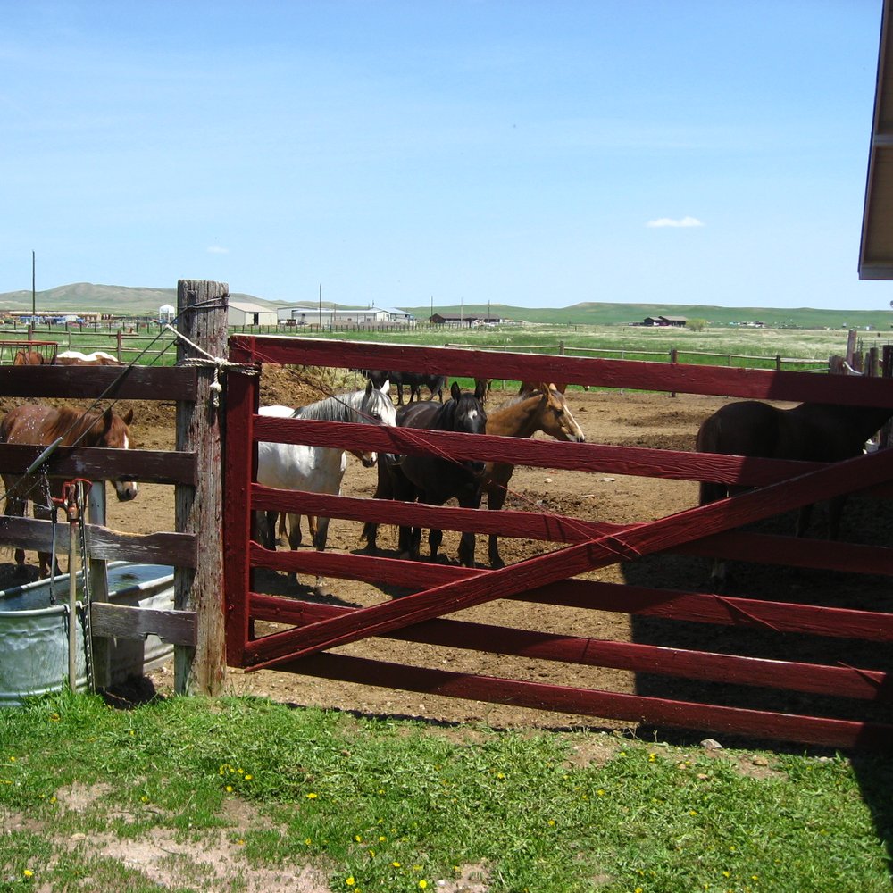 Terry Bison Ranch Resort - Horses - Venues & Event Spaces Near Me - Cheyenne, Wyoming Terry Bison Ranch Resort - Horses - Venues & Event Spaces Near Me - Cheyenne, Wyoming