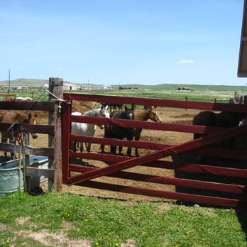 Terry Bison Ranch Resort - Horses - Venues & Event Spaces Near Me - Cheyenne, Wyoming Terry Bison Ranch Resort - Horses - Venues & Event Spaces Near Me - Cheyenne, Wyoming