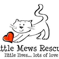 Little Mews Rescue