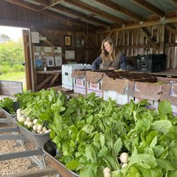 Food For People-Food Bank - Local farms and backyard gardeners help provide fresh, organic fruits and vegetables for pantries and distributions.