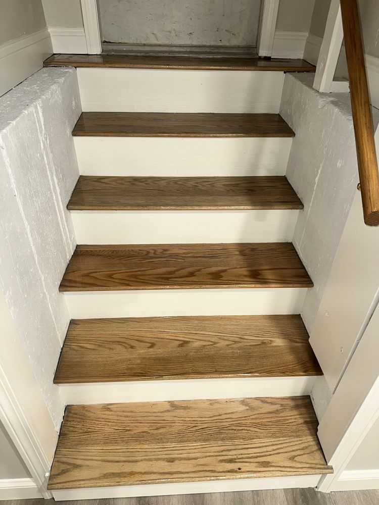 Slide of Pedretti’s Painting