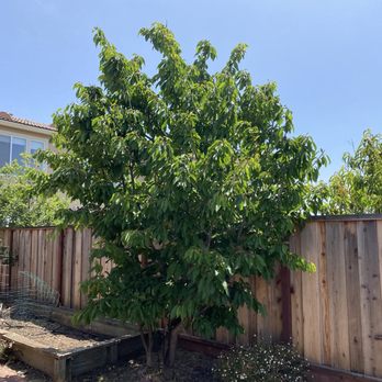 CBA Landscaping - Landscaping Near Me