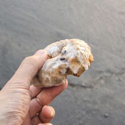 Sophia's Donuts & Sandwiches - Blueberry Glazed Donut.