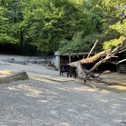 Zoo Zürich