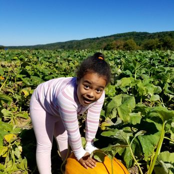 Melick Orchards - Since she couldn't pick up the pumpkin, she decided to pose next to it. - Farmers Market Near Me - Califon, New Jersey