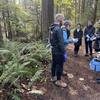 Forage Seattle - Food Tours Near Me