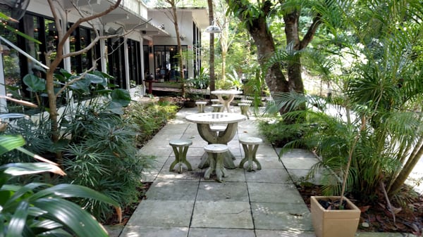 The Coastal Settlement by null