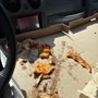 Photo of Pizza Villa