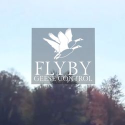 Flyby Geese Control