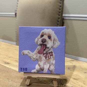 Barks In The Bay - Pet Groomers Near Me