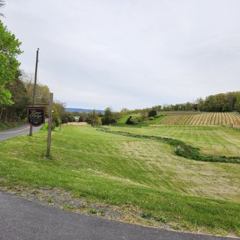 Cave Ridge Vineyard - Entrance with a view - Wineries Near Me - Mount Jackson, Virginia