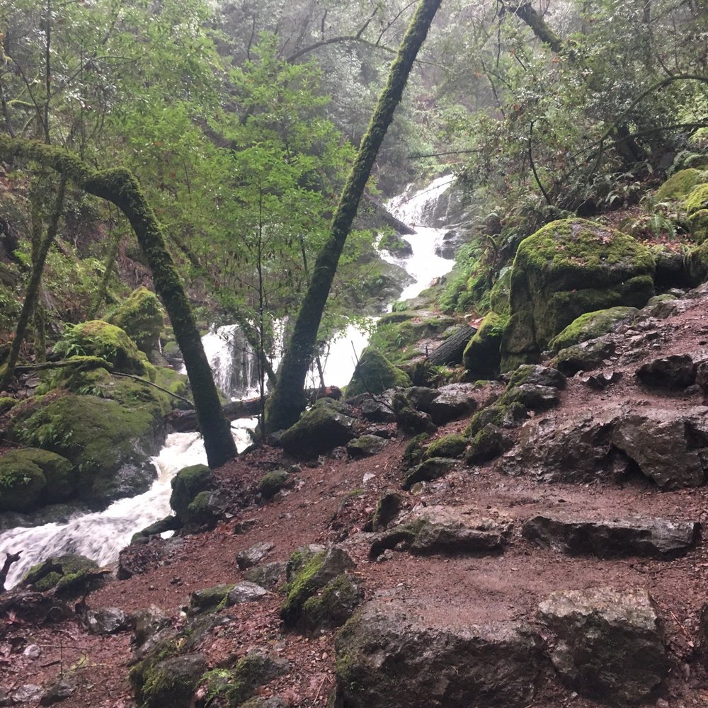 Cataract Falls Trail - Hiking Near Me Cataract Falls Trail - Hiking Near Me