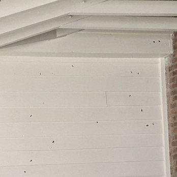 The Carter House - Bullet holes from Battle of Franklin - Museums Near Me - Franklin, Tennessee