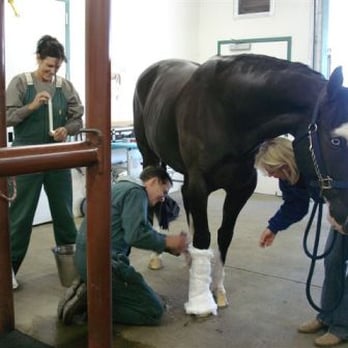 Cinder Rock Veterinary Clinic - Veterinarians Near Me - Redmond, Oregon