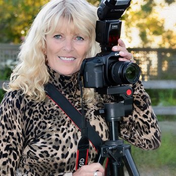 Star Shots Photography - By: Linda Feige Photographer - Event Photography Near Me - Santa Rosa, California Star Shots Photography - By: Linda Feige Photographer - Event Photography Near Me - Santa Rosa, California