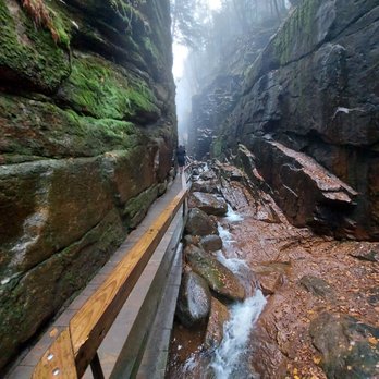 The Flume Gorge - Parks Near Me - Lincoln, New Hampshire The Flume Gorge - Parks Near Me - Lincoln, New Hampshire