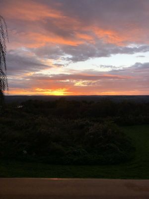 Stonecat: Regional Cuisine & Bar by null