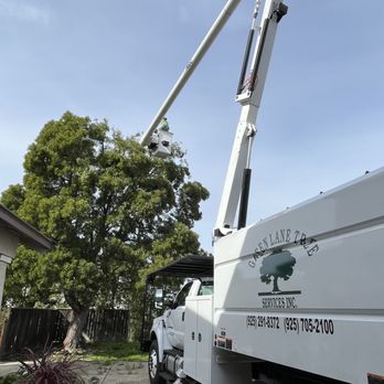 Green Lane Tree Service - Tree Services Near Me - Brentwood, California