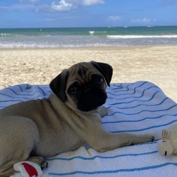 Isla Verde - ISLA VERDE - Beaches Near Me