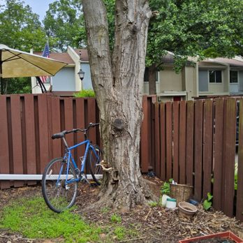 Wisdom Tree Service - Tree Services Near Me - Manassas, Virginia Wisdom Tree Service - Tree Services Near Me - Manassas, Virginia
