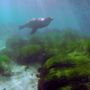 Adventure Bay Charters